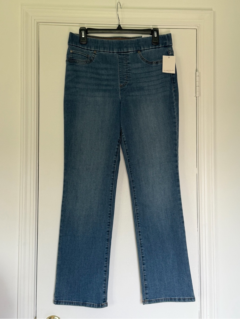 Kim Rogers Women's Pull On Denim Jeans - Short (Herrin Wash)
